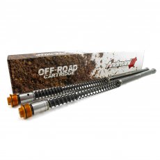 Andreani, Cartridge Kit, WP 35, KTM 17-21 50 SX, Husqvarna 18-21 TC 50, GasGas 21 MC 50
